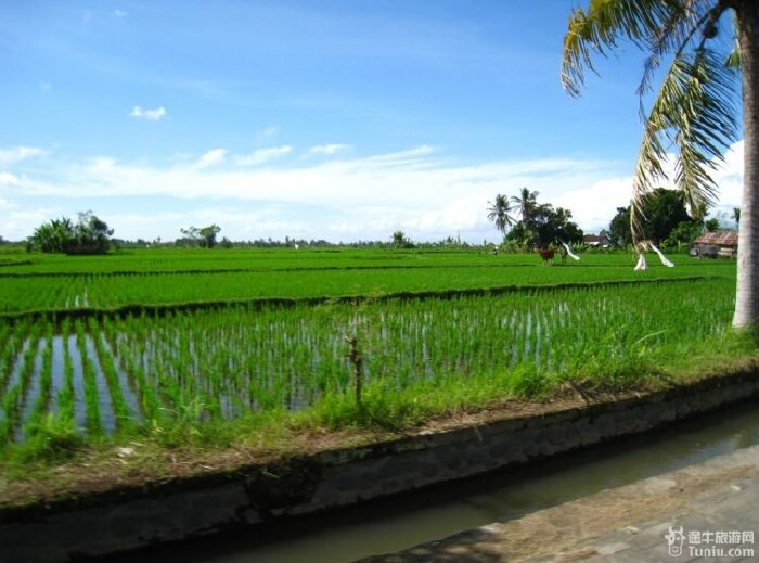2人巴厘岛-香港5晚6日跟团游