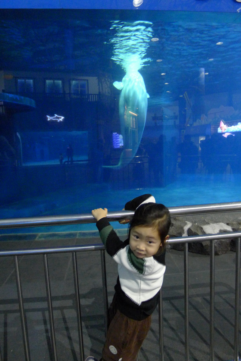 北京动物园之海洋馆