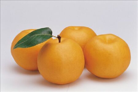 food_picture