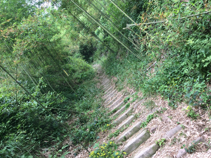 莫干山清新一日游【多图】_莫干山游记_途牛