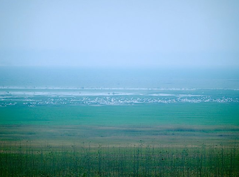 我国最大淡水湖泊_我国最大淡水湖泊鄱阳湖_鄱阳湖介绍