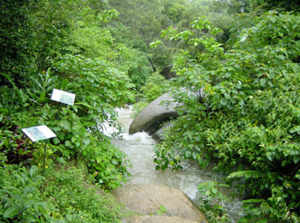 中山大涌卓旗山公园_怎么去中山大涌卓旗山公园_中山大涌卓旗山公园