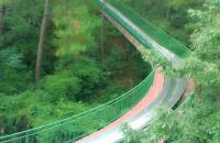 坐滑道盘旋而下