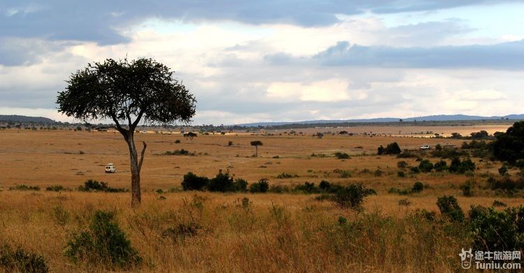 探秘动物世界感受奢华之旅记肯尼亚迪拜之行2013