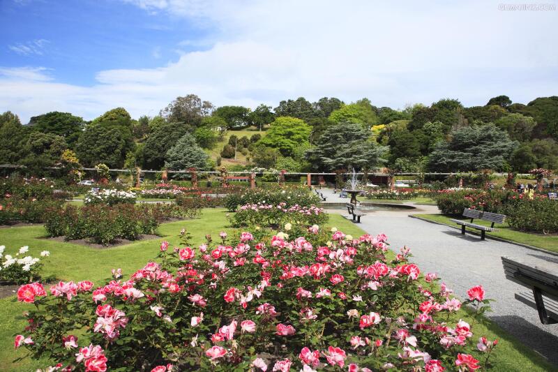 瑞士旅游伯尔尼_瑞士旅游伯尔尼景点推荐_瑞