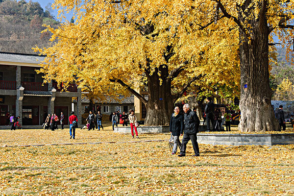 4月去随州天气简介_随州四月温度介绍_随州旅