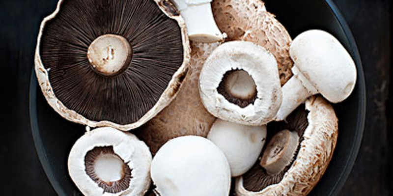 推荐理由 384人推荐 双孢菇又名白蘑菇