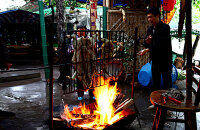 平乐美食养生节