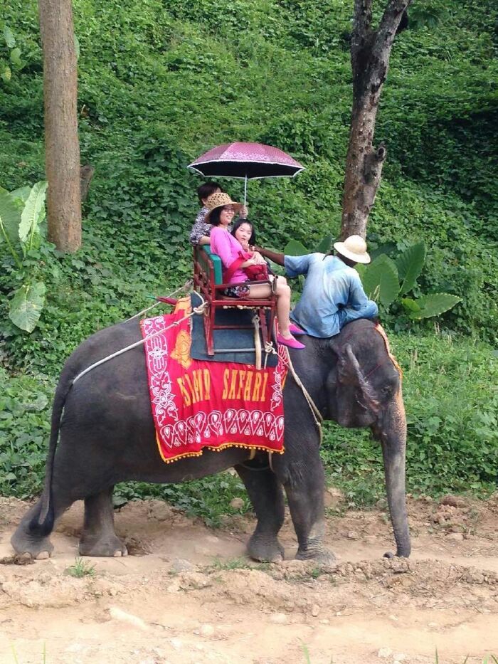 普吉岛跟团游。超多照片 + 购物详单_泰国
