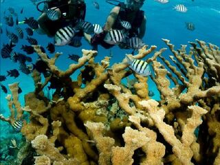 圣托里尼圣托里尼潜水攻略_圣托里尼游玩攻略