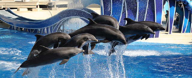 【2019】5月去奥兰多哪儿最好玩_奥兰多旅游