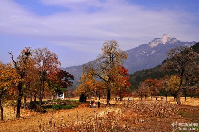 黄冈地区罗田县境内东北角处的一个小村,位于大别山主峰天堂寨风景区