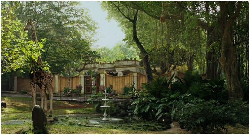 法国马提尼克岛旅游最新信息简介-法国马提尼