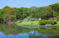 伊甸园（花岛）日光浴