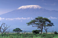 游阿布戴尔国家森林公园