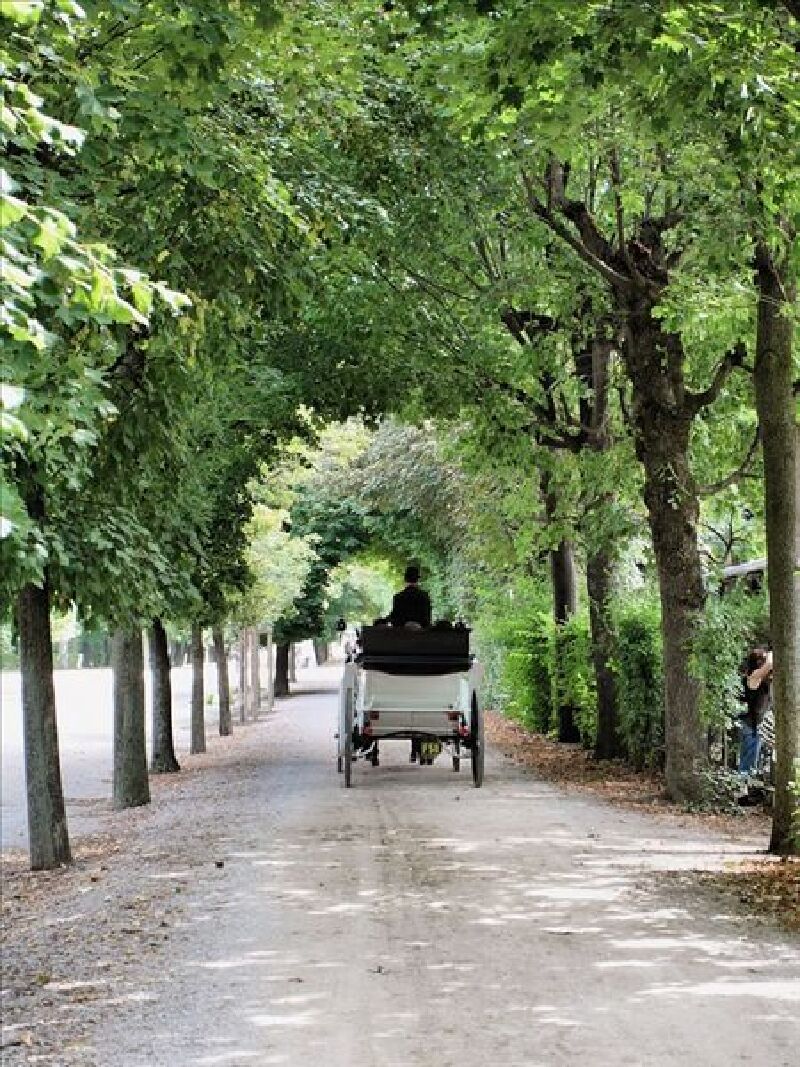 奥地利旅游 9月_奥式风情_奥地利特色景点_奥