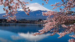 登富士山赏景