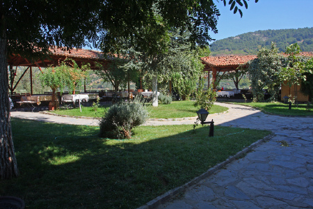 restaurant_picture