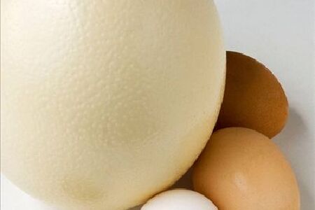 food_picture