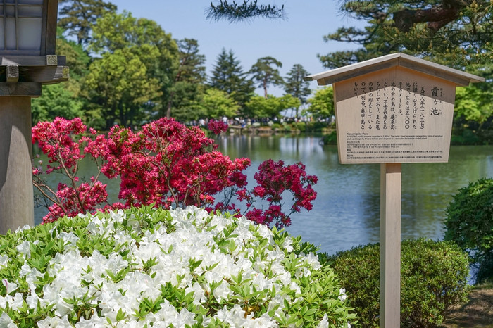 这是我在日本参观的第一个神社,位于金泽兼六园入口不到五十米处.