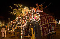 佛牙节：世界上最为隆重的佛教庆典