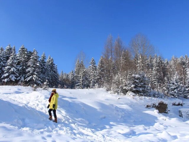 对于雪,有太多的幻想,这个冬天,一个人,一路北上,去看雪.