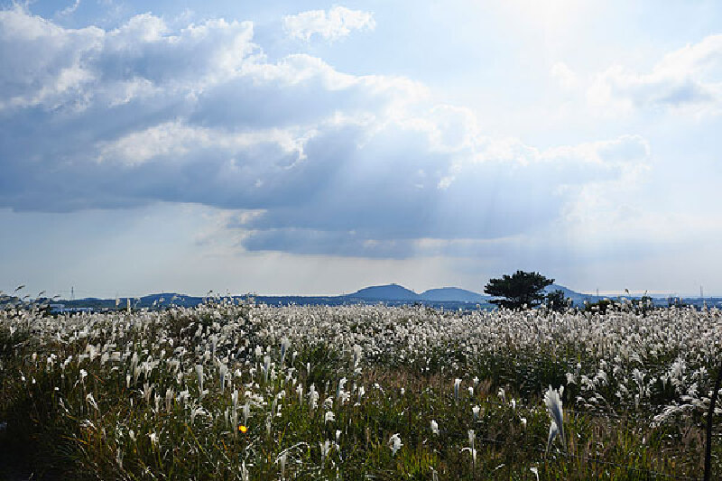 韩国五日自由行_韩国五日自由行可以玩哪些景
