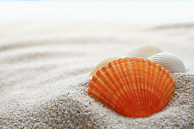 三亚跟团旅游游记_三亚跟团游的行程安排_跟