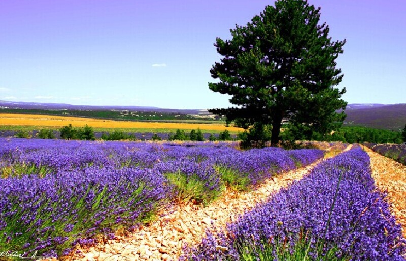 法国旅游攻略_ 法国旅游攻略之景点攻略_ 法国