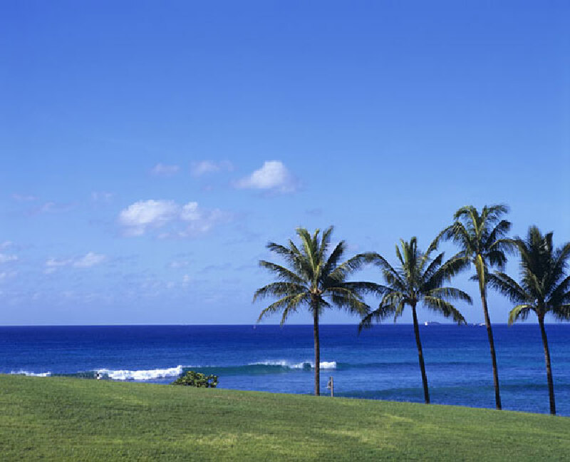 夏威夷怎么样_夏威夷好玩吗_夏威夷评价_最新