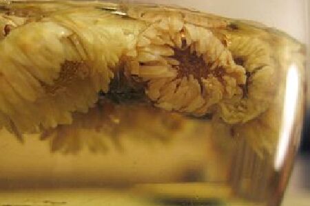 food_picture