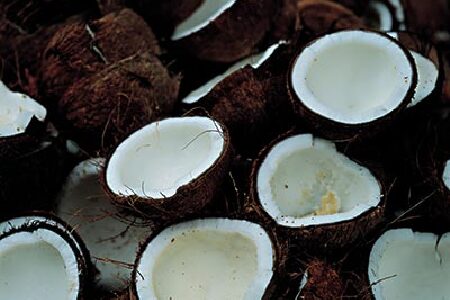 food_picture