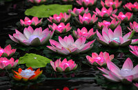 中国同江赫哲族旅游节 