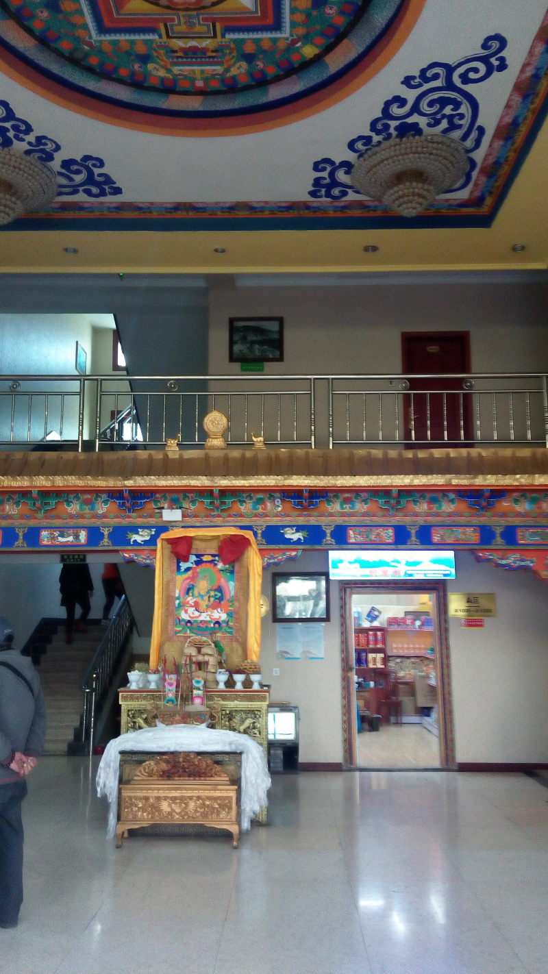 一次自不量力但却收获雪域高原的旅行--拉萨行