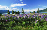 在爱丁堡特威德山谷骑单车