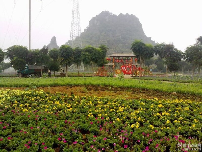 南宁花花大世界
