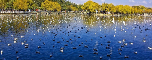 昆明三日游_昆明三日游攻略_昆明三日游最佳线路