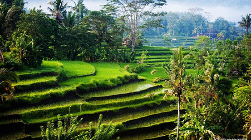 <巴厘岛4晚6日游>杭州往返,香港转机,全程国际五星,蓝梦贝妮达双岛出海,阿勇河漂流,特色SPA,蓝点下午茶__出发_途牛