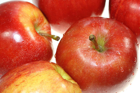 food_picture
