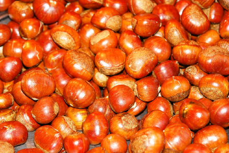 food_picture