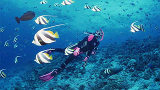 亚龙湾海底世界潜水