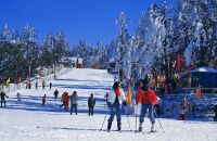 去山上滑雪赏景