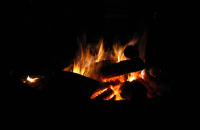 参加天下凤凰篝火晚会