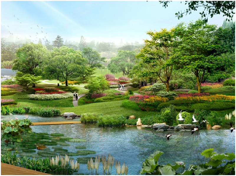 江苏_泰州溱湖湿地_游玩攻略_最新江苏旅游资