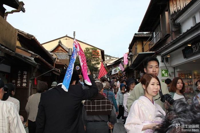 清明节日本樱之醉6日游记