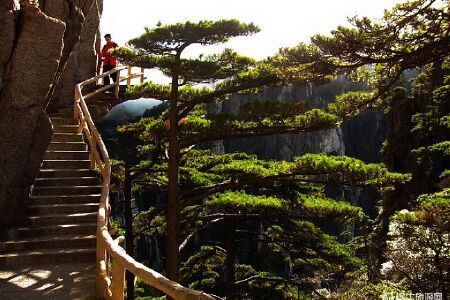 <黄山-西递-宏村-千岛湖-婺源4日游>油菜花开，舒适型住宿，拒绝快捷，逛屯溪老街、0购物（当地参团）