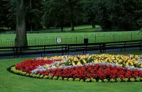 贝尔法斯特植物园听音乐会