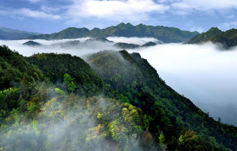 【江西井冈山】地址_地图_电话_江西井冈山在哪里,去