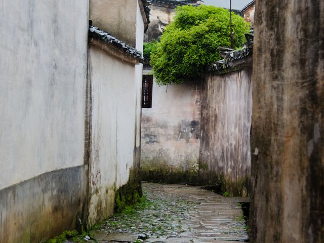 小巷子绕来绕去,不过走一段就能看见指路标志了,通往几个主要景点应该