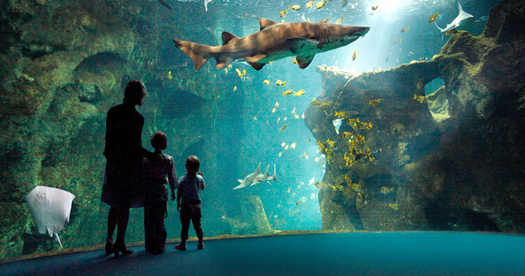 法国巴黎水族馆